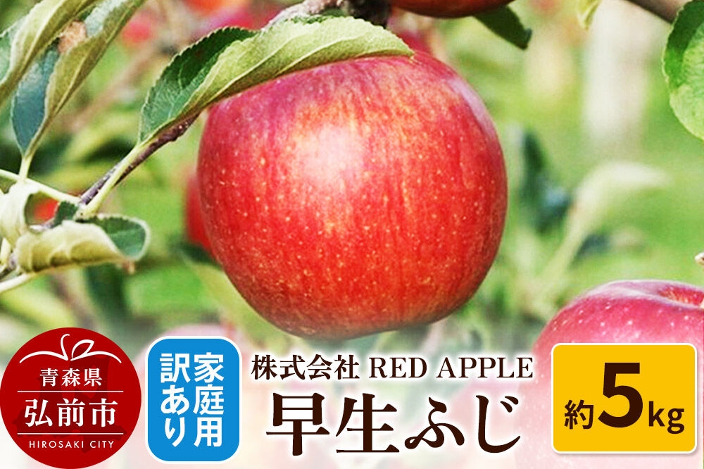 
                  【26年10月発送】りんご【訳あり】家庭用 早生ふじ 約5kg 先行受付 [アップル おいしい ふじ りんご 果実 果物 赤色 早生 美味 林檎]
                