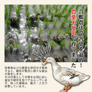 【令和7年産】農薬不使用　コシヒカリ米　合鴨農法　10kg(特別栽培米、旧名：会津磐梯山宝米
