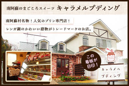 プリン 南阿蘇のプリン専門店 キャラメルプディング 人気プリン3種×3個セット 計9個お届け《60日以内に出荷予定(土日祝除く)》プリン 南阿蘇こだわりプリン 大人プリン クリーミープリン 手作り 阿