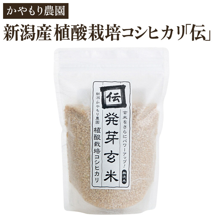 1パック 600g