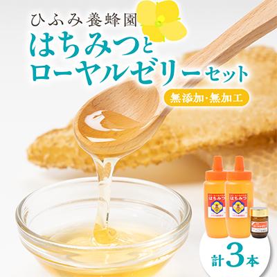 ふるさと納税 館山市 ひふみ養蜂園 はちみつ(500g×2)・ローヤルゼリー(30g)