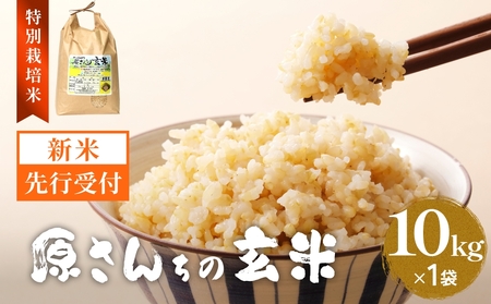 【令和8年産米先行受付】原さんちのお米 玄米 10kg ひとめぼれ 米 お米 こめ コメ  ご飯 ヒトメボレ 常温 大分県 大分 玖珠町 玖珠
