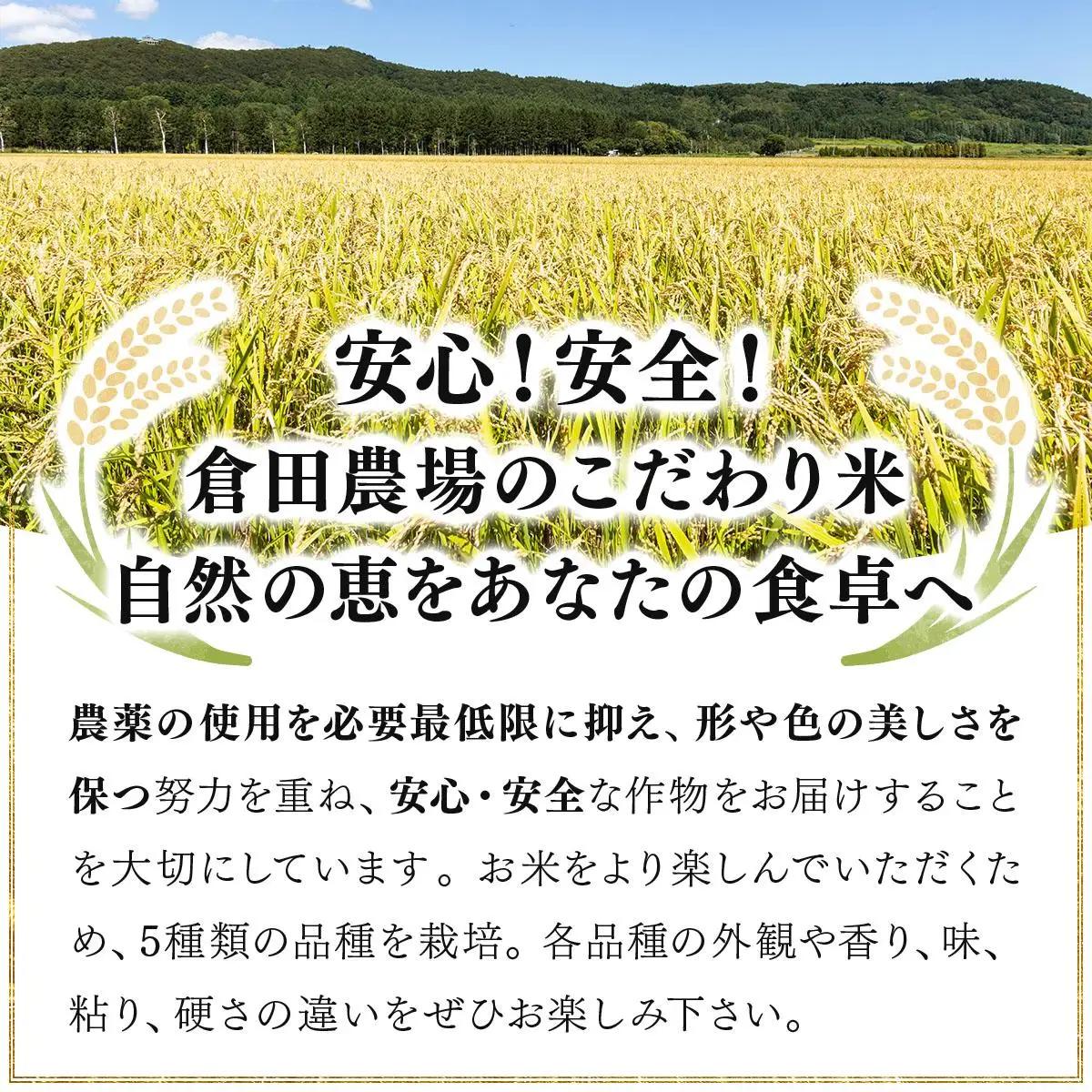 令和7年産北海道岩見沢市産　あやひめ精米5kg≪沖縄・離島配送不可≫ a124-032-R7