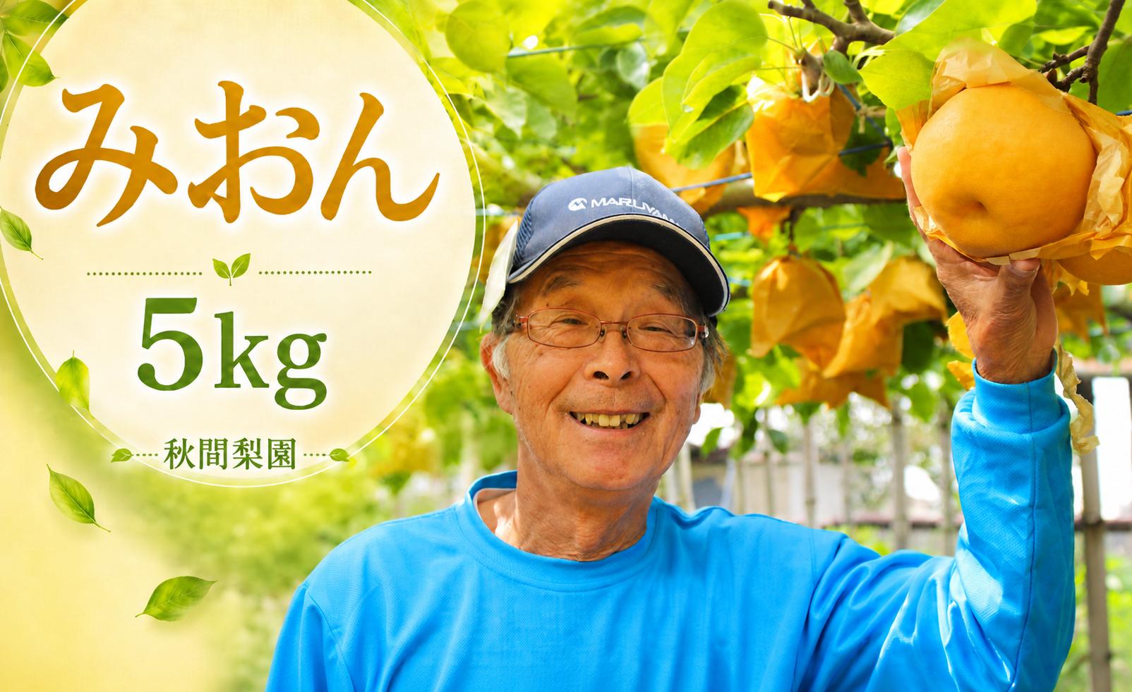 
                  【先行予約】秋間梨園の梨（みおん）5kg | みおん ミオン 梨 なし ナシ 秀品 贈答 産地直送 農家直送 数量限定 期間限定 秋の味覚 和梨 旬の梨 果物 フルーツ 甘い ジューシー 5キロ 5キログラム 秋間梨園 埼玉県 宮代町
                