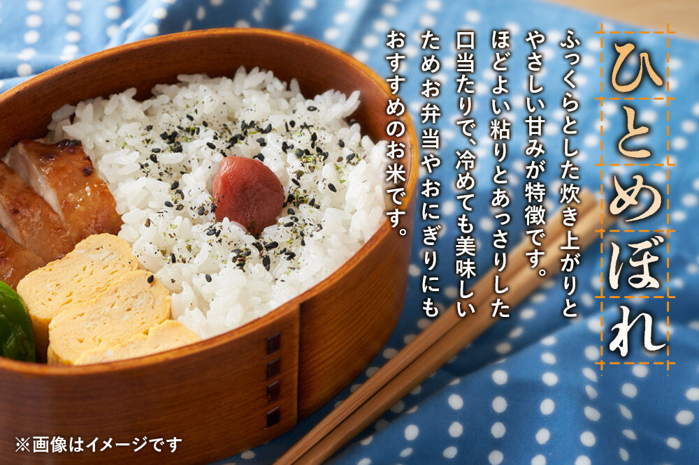 《令和8年産 新米受付》《定期便11ヶ月》【白米】極上秋田銘柄米 ひとめぼれ 5kg [新米受付 米 お米 こめ 白米 精米 ひとめぼれ ブランド米 銘柄米 食卓 おにぎり 秋田県産 秋田県 由利本荘