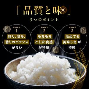 地元産 両郷米 5Kg ×1袋 ｜  お米 コシヒカリ こしひかり 栃木県 大田原市