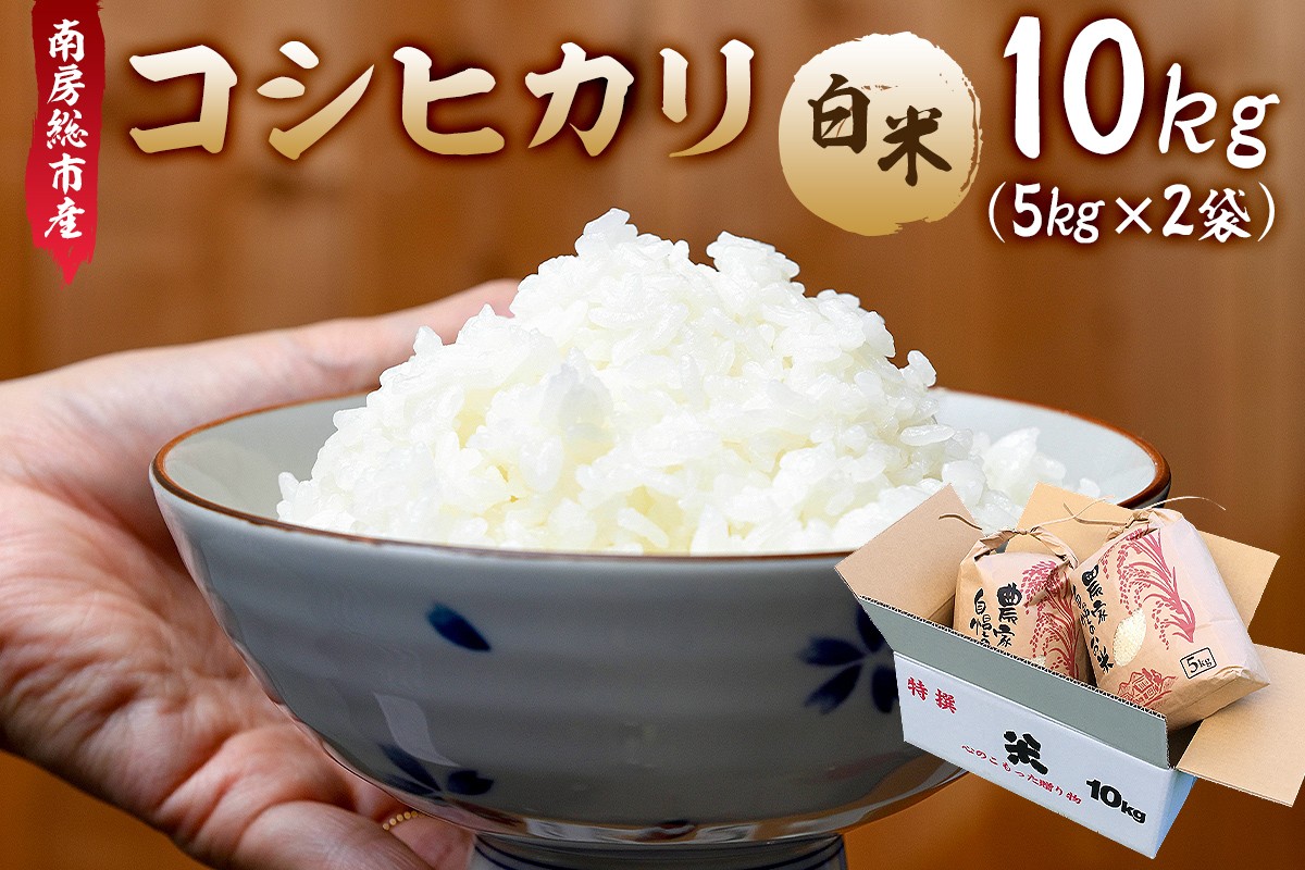 
                  【令和7年産】南房総市産コシヒカリ白米10kg（5kg×2袋） mi0018-0015 【お米 精米 ごはん こしひかり おにぎり ブランド米 国産米】
                