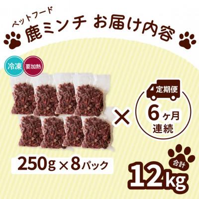 ふるさと納税 海陽町 【毎月定期便】《粗挽き計12kg|250g×8P》鹿肉ペット用　鹿ミンチ　小分けタイプ全6回 |  | 01
