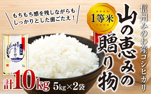 
										
										【令和6年度】信州産 コシヒカリ 1等米 「山の恵みの贈り物」 10kg（5kg×2袋） （ お米 コシヒカリ 白米 搗きたて米 低温貯蔵米 食品 )
									