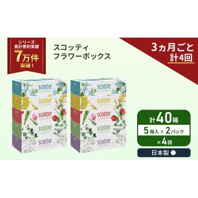 ふるさと納税 岩沼市 定期便 ティッシュ スコッティ40箱 (5箱×2P)《計4 回》[No.5704-1135] |  | 01