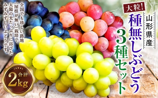 たっぷり日光を浴びたみずみずしい 種無しぶどう3種セット （シャインマスカット＋旬なぶどう） 2kg 【2025年9月下旬～10月上旬に順次発送予定】