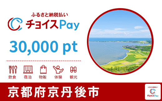 
            京丹後市チョイスPay 30,000pt【会員限定のお礼の品】
          