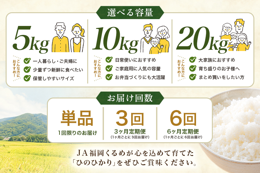 【3回定期便】【ふるさと納税】ひのひかり 米 お米 白米 10kg  10キロ 福岡県産 うきは市 国産 精米 ご飯 ごはん おにぎり お弁当 人気 おすすめ 家庭用 送料無料 新米 ストック 厳選 