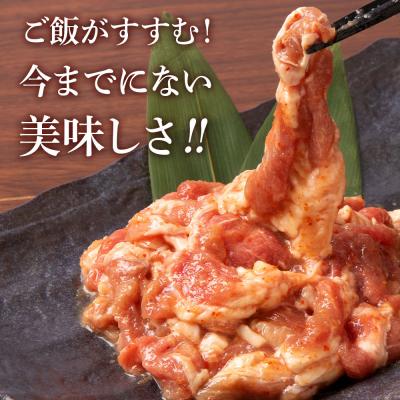 ふるさと納税 千歳市 明太子入り 味付けジンギスカン 300g _3パック＜肉の山本＞ |  | 02