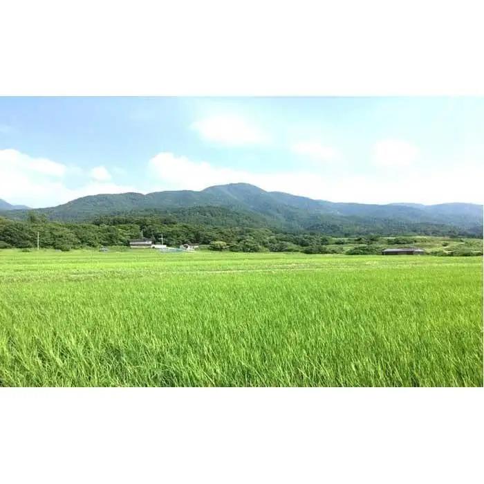 【令和7年産】佐渡産高千産こしひかり3kg×3袋(精米)+しそ味噌100gセット