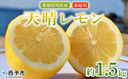 ＜天晴レモン ご家庭用 約1.5kg＞ フルーツ 果物 くだもの レモン れもん 檸檬 柑橘 訳あり わけあり ワケアリ 自宅用 料理 国産 国産レモン 愛媛県産 特産品 株式会社笑丸 愛媛県 西予市【常温】『2025年9月～2026年1月に順次出荷予定』AAN0042