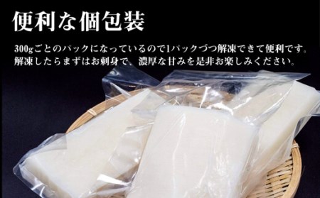 イカ 小分け パック いか タルイカ もちもち 不揃い 訳あり 高知県 須崎市