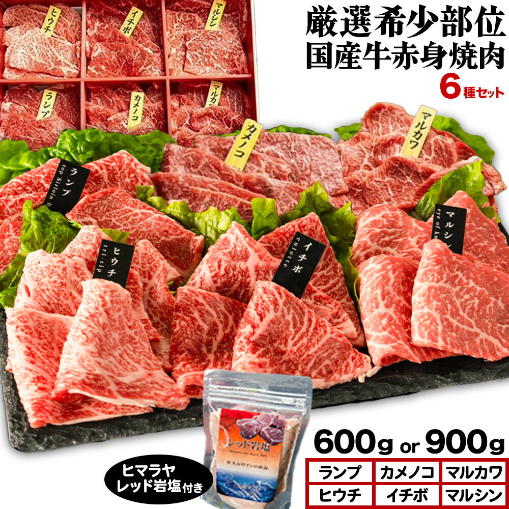 【ふるさと納税】厳選希少部位国産牛赤身焼肉6種セット 選べる 約600g 約900g (株)仲辻《30日以内に出荷予定(土日祝除く)》大阪府 羽曳野市 希少部位 厳選 赤身 国産牛 肉 牛肉 ランプ カメノコ マルカワ ヒウチ イチボ マルシン