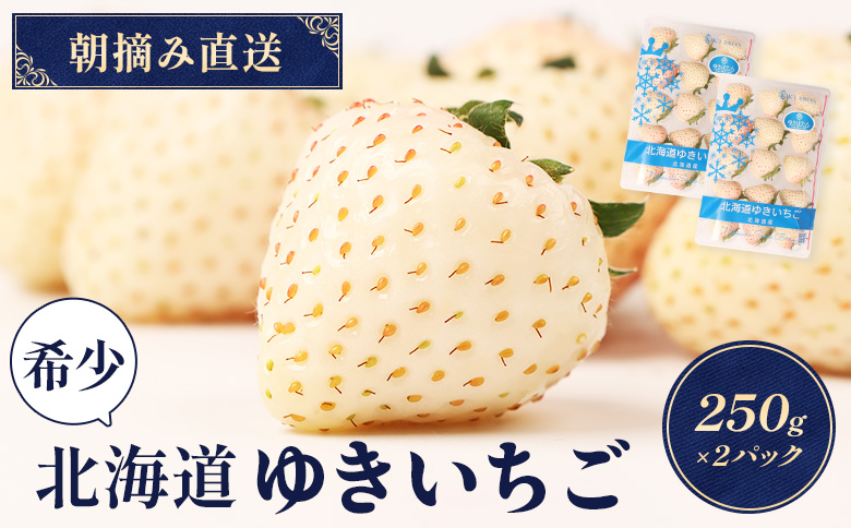 【北海道産】ゆきいちご（白いちご） 2Pセット 250g×2 計500g【59001】