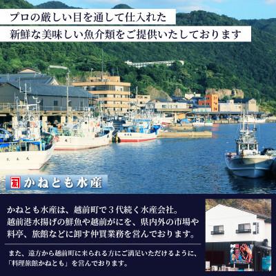 ふるさと納税 越前町 【訳あり】≪浜茹で≫ 越前がに 600〜900g前後 × 2杯【12月発送分】 |  | 02