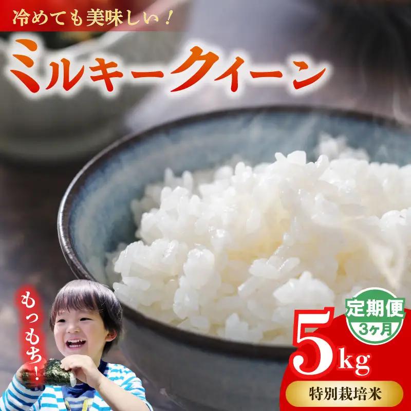 【3ヶ月定期便】 ミルキークイーン 5kg × 3回【無洗米】牧之原市 静岡県 山本耕業