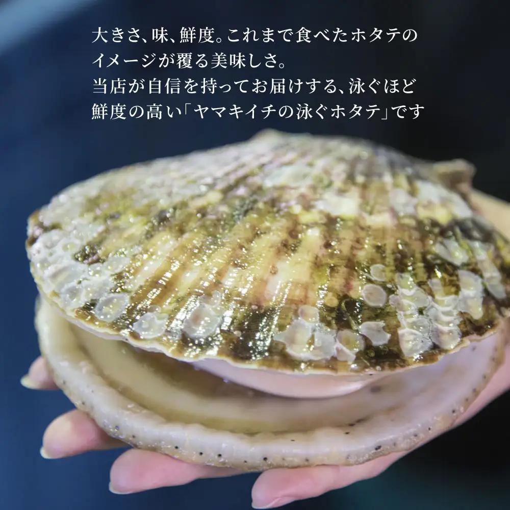 fn-39-002 泳ぐホタテの貝柱300g ヤマキイチ商店 