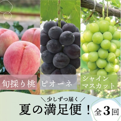【発送月固定定期便】桃、ピオーネ、シャインマスカットが各月届く、夏の満足便! (岡山県産)全3回【配送不可地域：離島】
