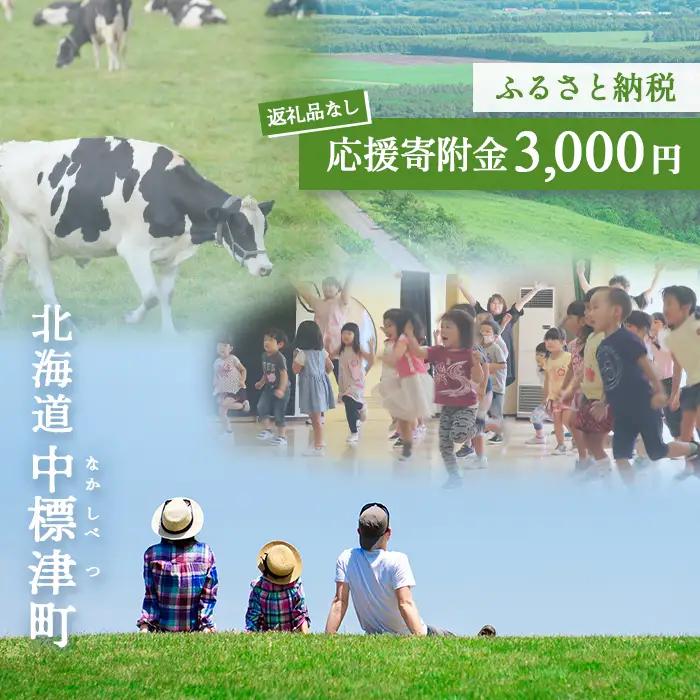 中標津町への応援寄附 3,000円(返礼品なし)【10003】