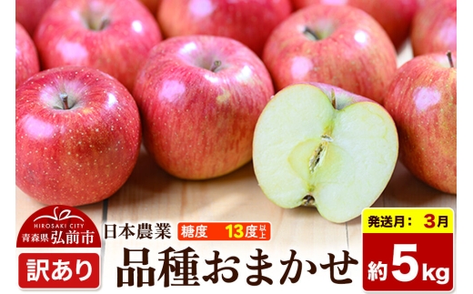 【27年3月クール便発送】りんご 品種おまかせ【訳あり】約5kg 平均糖度13度以上 青森県 弘前市 果物 フルーツ 林檎 リンゴ くだもの 不揃い 規格外 先行受付 [先行予約 クール便 家庭用 産