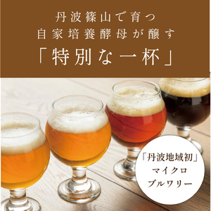 クラフトビール 〈芳香&フルボディ〉 飲み比べ（3種6本） ビール [ZIG03]