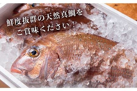 【全12回定期便】 天然 鯛 お茶漬け 6食 [JAI009]