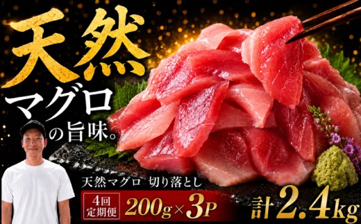 【4回定期便】天然マグロ切り落とし 200g×3P│天然マグロ 切り落とし 刺身 マグロ丼 冷凍 高知県 ふるさと納税 キハダマグロ ビンチョウマグロ メバチマグロ 海鮮 お取り寄せ グルメ 時短 簡単調理 解凍するだけ 一口サイズ 手巻き寿司 具材 ユッケ カルパッチョ 漬け丼 おかず おつまみ ギフト 贈答 贅沢 人気 おすすめ 産地直送 新鮮 晩酌  魚介