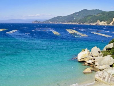 [046004]思い出に残る黄昏時を 宿毛リゾート椰子の湯 ペア宿泊券（素泊り）