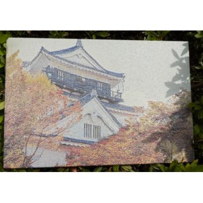 ふるさと納税 与謝野町 御城印帳(岡崎城)