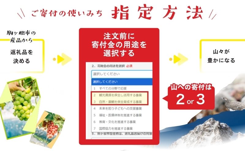 シャインマスカット 約 1.4kg ２～4房 長野 ぶどう 種なし 皮ごと 産地直送 フルーツ 果物 デザート おやつ マスカット ブドウ 葡萄 秋 旬 旬の果物 旬のフルーツ 信州 信州産 長野県 