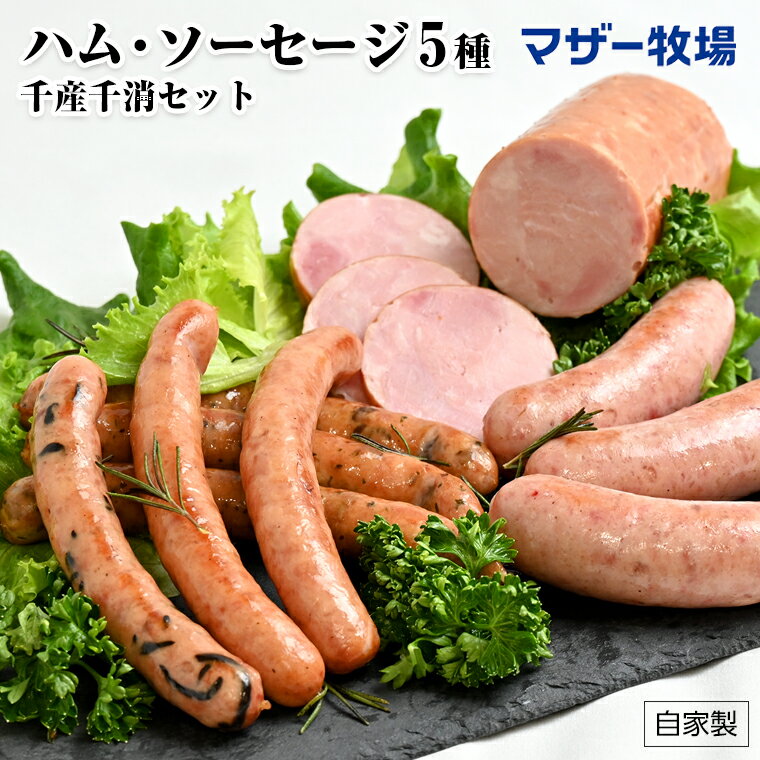 【ふるさと納税】ハム ソーセージ 5種 マザー牧場 おすすめ 手づくり 千産千消 セット 肉 名水もち豚 ボンレスハム ウインナー フランクフルト あらびき 粗びき ブラウンマッシュルーム ひじき マスタード 贈答用 ギフト 贈り物 国産 自家製 おかず お弁当 惣菜 詰め合わせ