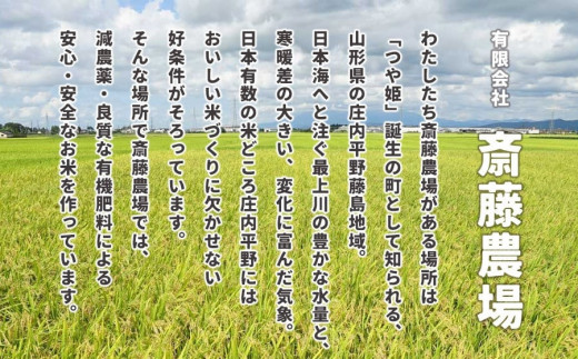 【令和8年産 新米】【定期便6ヵ月】斎藤農場の特別栽培米 つや姫 精米 5kg(5kg×1袋)×6ヶ月 山形県鶴岡市 K-840 | 米 こめ コメ つやひめ ブランド米 庄内米 ごはん ご飯 美味し