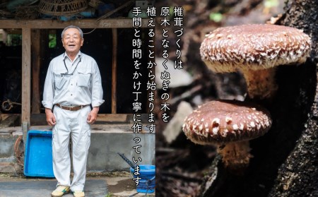 【6ヶ月定期便】乾燥しいたけ 300g（50g×6袋）×6回 1,800g 干し椎茸 原木椎茸 国産 高千穂町 宮崎県 T-10