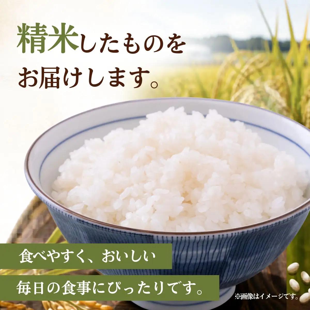 令和8年度米 あきたこまち 精米 10kg 農家直送 | 新米 令和8年 先行受付 期間限定 