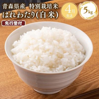 ふるさと納税 平川市 ≪令和9年4月発送≫特別栽培米 はれわたり白米5kg