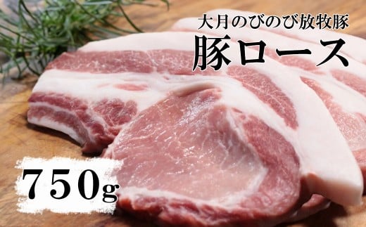 大月のびのび放牧豚【カツ・ステーキ用ロース】750g 以上(約150g×5)   豚肉 豚 ポーク ロース お肉 肉 山梨 やまなし 富士川町
