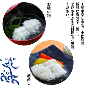 鱧 国産 ハモ 切り身【 定期便 3回 偶数月】冷凍 計 3kg 【小松島市共通返礼品】