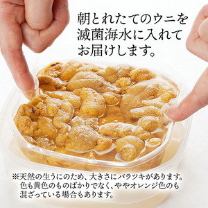 【 2026年先行予約 】 生うに 150g 冷蔵 うに
