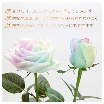 ふるさと納税 尾張旭市 生花 レインボーローズ 花束 ピュアパステル Mサイズ : 愛知県尾張旭市 30本 |  | 01