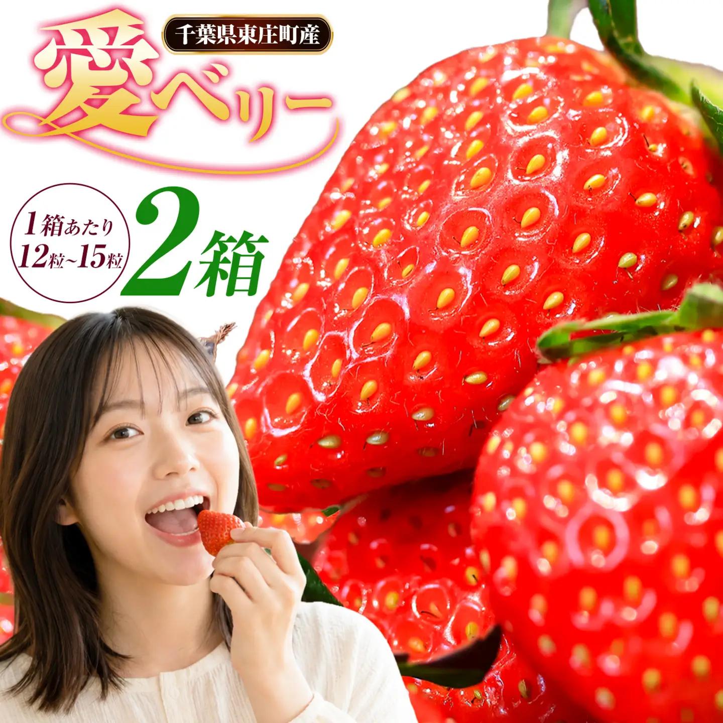いちご アイベリー 愛ベリー 2箱 多田いちご園 いちご