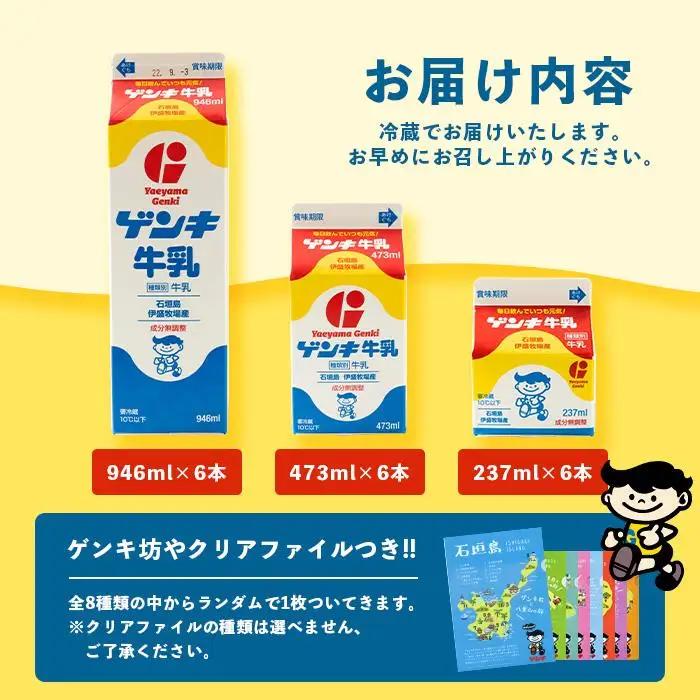 ゲンキ牛乳バリューセット　GN-3