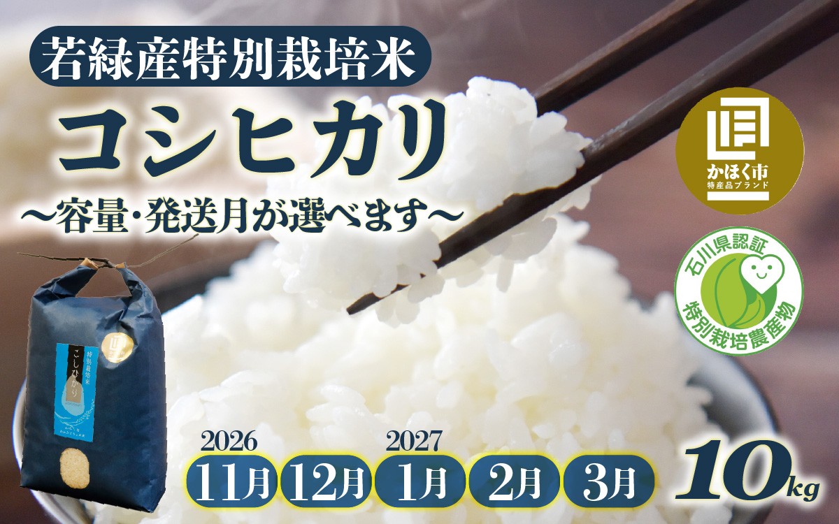 
                  【11月～3月発送】【令和8年産 新米】若緑産 特別栽培米「こしひかり」 10kg  /  令和8年産 米 単一原料米 コシヒカリ 国産 こめ コメ 白米 食品 常温 ご飯 お取り寄せ
                