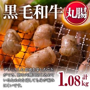 No.1001-03 黒毛和牛丸腸(計1.08kg)国産 九州産 牛肉 黒毛和牛 和牛 ホルモン 焼肉 鉄板焼き もつ鍋 冷凍 小分け【カミチク】