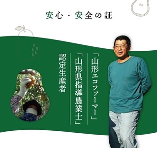 SA3075　六代多右エ門　西洋梨 ラ・フランス 秀品　約3kg(9～10玉) 