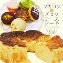 【ふるさと納税】チーズケーキ バスク 4号 マカロン 1箱 6個入り セット ショコラ はちみつ ストロベリー オランジュ 抹茶 バニーユ 着色料不使用 グルテンフリー 送料無料